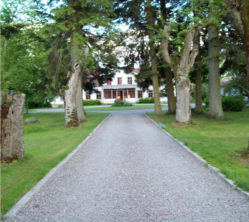 A gravel drive lined with tall trees leading up to the white main house at Häggatorp
