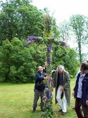 Residents and co-workers raising the midsummer pole in the garden
