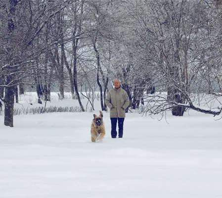 Vinterpromenad med hunden i den snötäckta parken