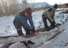 Två personer sågar ved i snön